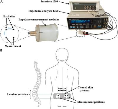 Assessment of Low Back Pain in Helicopter Pilots Using Electrical Bio-Impedance Technique: A Feasibility Study